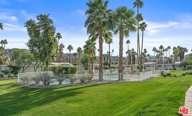 a view of a park with large trees
