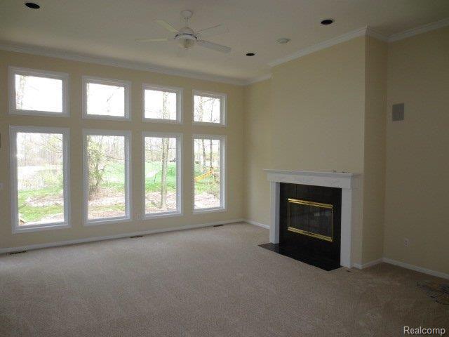 47652 Rochester Drive Novi, MI 48374 - Photo 4 of 14 IMG_7078.JPG