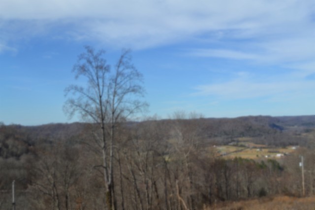 0 Schelley Road Gainesboro, TN 38562 - Photo 15 of 37 a view of a yard