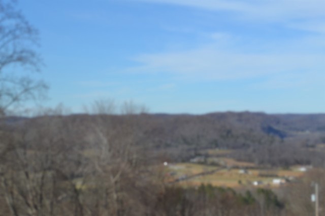 0 Schelley Road Gainesboro, TN 38562 - Photo 16 of 37 a view of a dry yard
