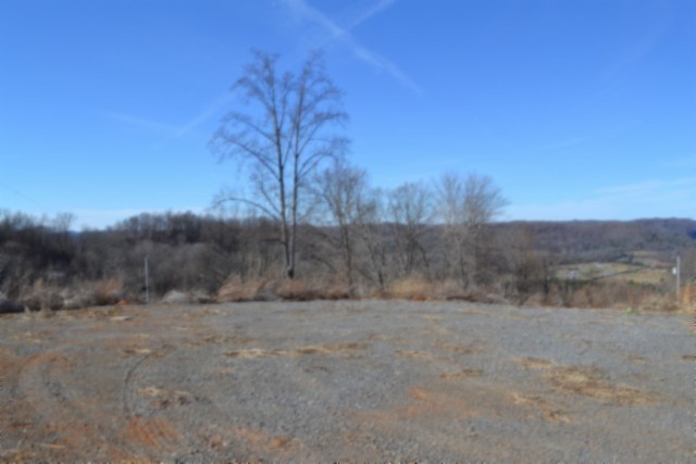 0 Schelley Road Gainesboro, TN 38562 - Photo 17 of 37 a view of a dry yard with green space