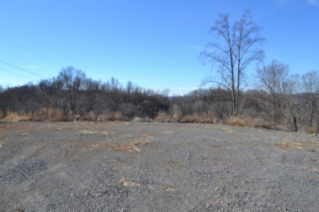 0 Schelley Road Gainesboro, TN 38562 - Photo 18 of 37 a view of a dry yard with trees