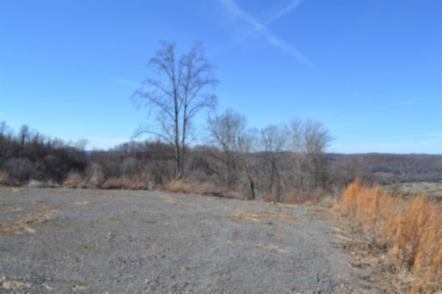 0 Schelley Road Gainesboro, TN 38562 - Photo 19 of 37 a view of a dry yard with trees