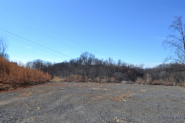 0 Schelley Road Gainesboro, TN 38562 - Photo 20 of 37 a view of a dry yard with trees