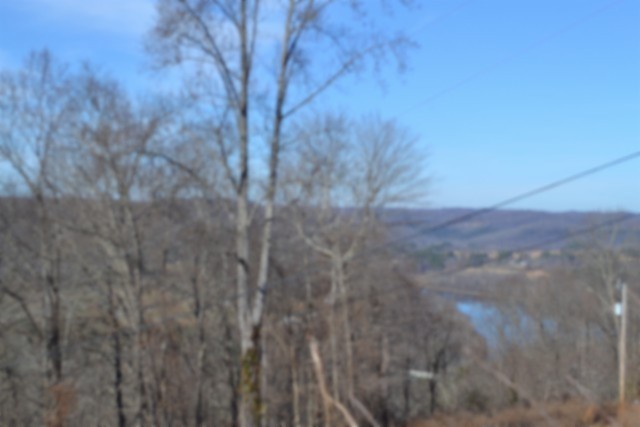 0 Schelley Road Gainesboro, TN 38562 - Photo 2 of 37 a view of a yard