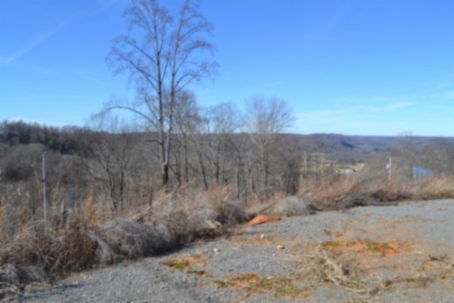 0 Schelley Road Gainesboro, TN 38562 - Photo 21 of 37 a view of a dry yard with trees