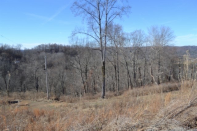 0 Schelley Road Gainesboro, TN 38562 - Photo 22 of 37 a view of a dry yard