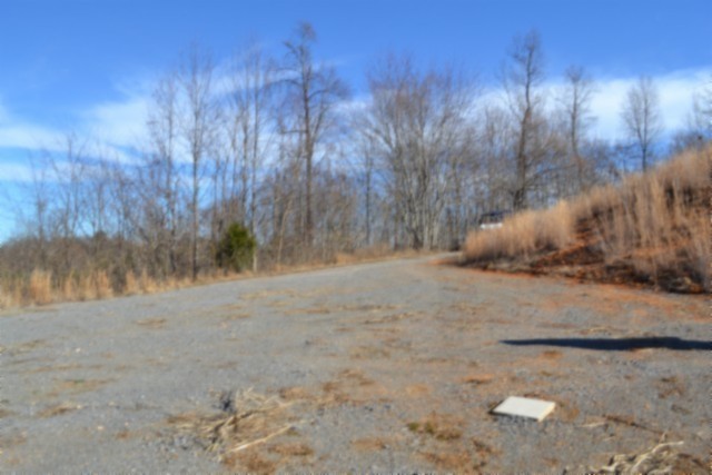 0 Schelley Road Gainesboro, TN 38562 - Photo 23 of 37 a view of a dry yard with trees