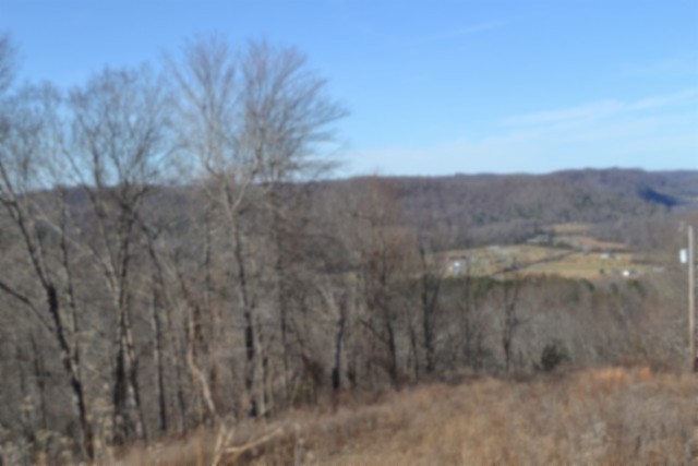 0 Schelley Road Gainesboro, TN 38562 - Photo 25 of 37 a view of a dry yard