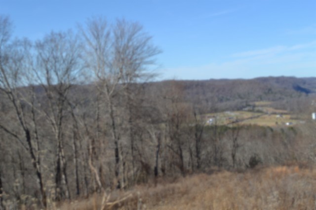 0 Schelley Road Gainesboro, TN 38562 - Photo 26 of 37 a view of a dry yard
