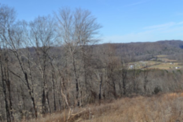 0 Schelley Road Gainesboro, TN 38562 - Photo 27 of 37 a view of a dry yard