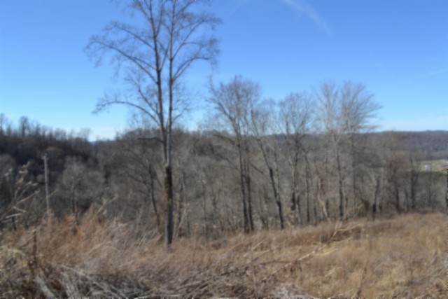 0 Schelley Road Gainesboro, TN 38562 - Photo 28 of 37 a view of a dry yard