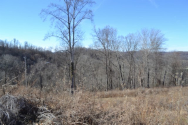 0 Schelley Road Gainesboro, TN 38562 - Photo 29 of 37 a view of a dry yard