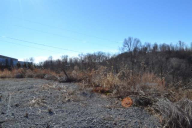 0 Schelley Road Gainesboro, TN 38562 - Photo 30 of 37 a view of a dry field