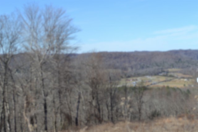0 Schelley Road Gainesboro, TN 38562 - Photo 32 of 37 a view of a dry yard with mountains in the background