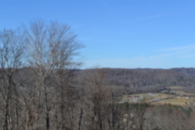 0 Schelley Road Gainesboro, TN 38562 - Photo 33 of 37 a view of a dry field
