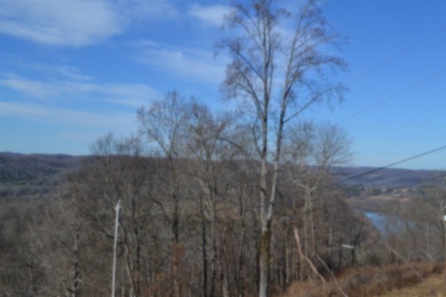 0 Schelley Road Gainesboro, TN 38562 - Photo 5 of 37 a view of a yard