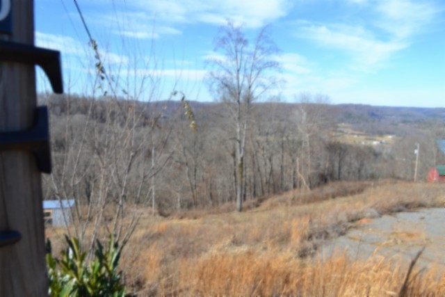 0 Schelley Road Gainesboro, TN 38562 - Photo 7 of 37 a view of a dry yard