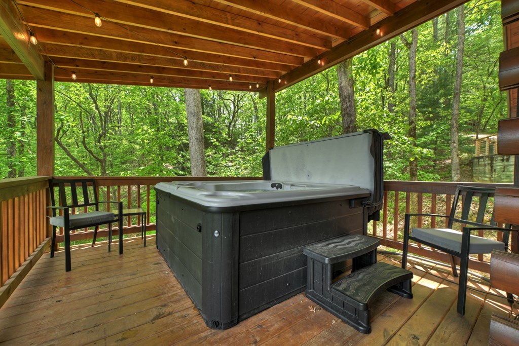 40 Joanna Court Blue Ridge, GA 30513 - Photo 13 of 39 Gallery Image 13