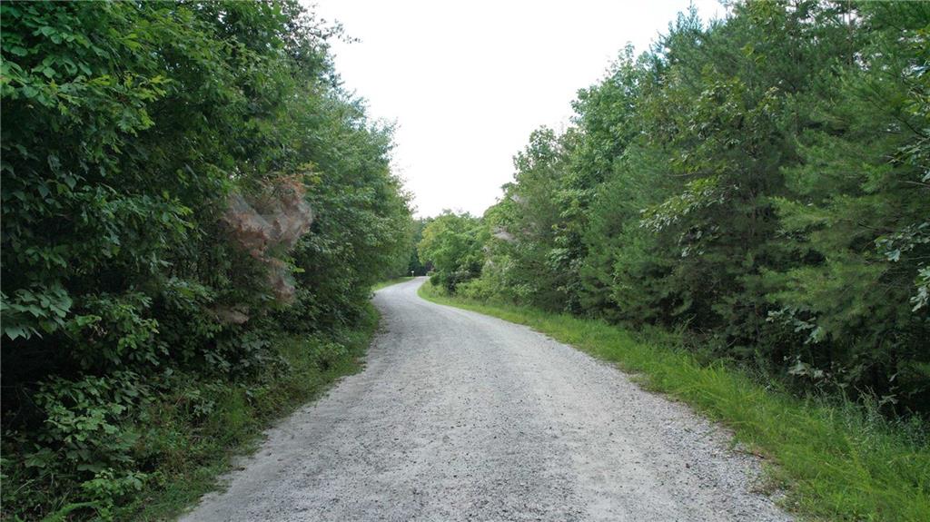 930 Cantrell Road Marble Hill, GA 30148 - Photo 18 of 37 a view of a street with a trees