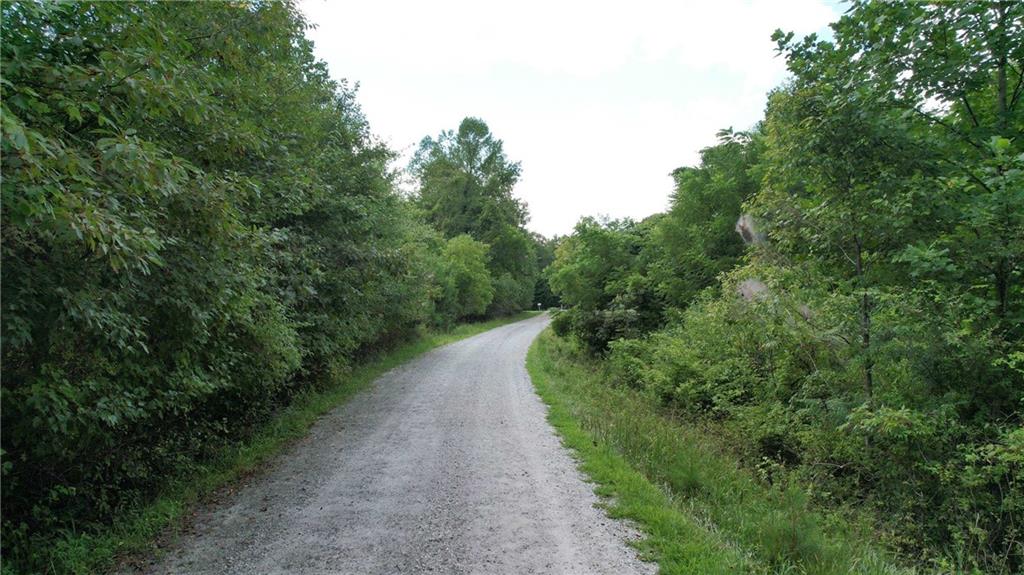 930 Cantrell Road Marble Hill, GA 30148 - Photo 19 of 37 a view of a road with a yard and a fountain