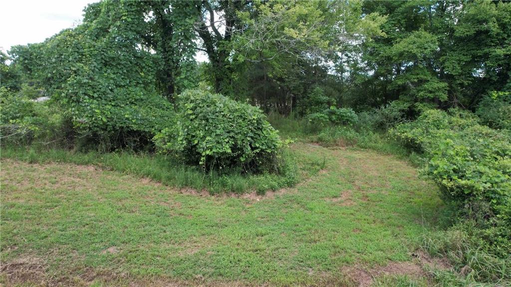930 Cantrell Road Marble Hill, GA 30148 - Photo 21 of 37 a view of a lush green forest with lots of trees