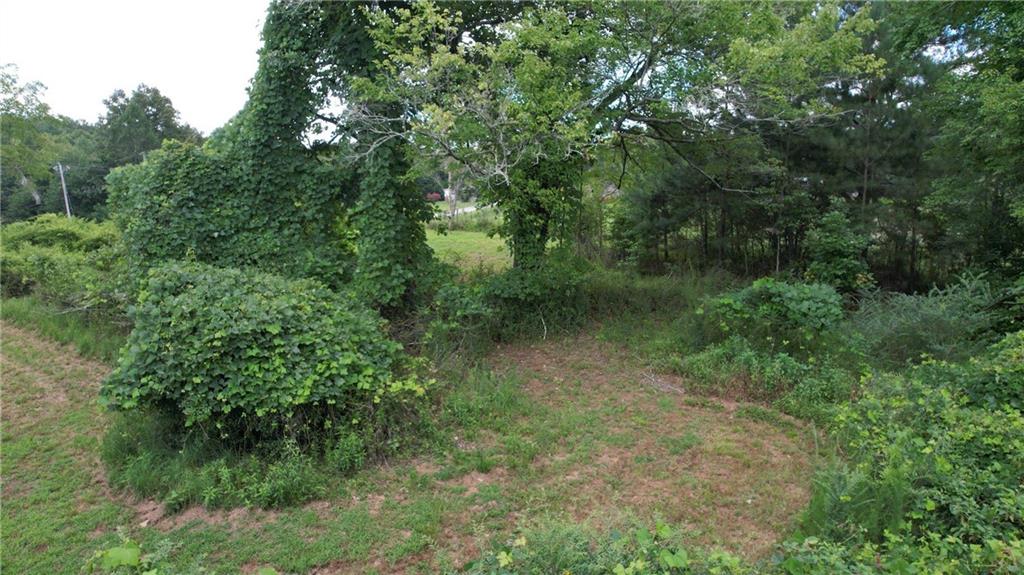 930 Cantrell Road Marble Hill, GA 30148 - Photo 22 of 37 a view of a lush green forest with lots of trees