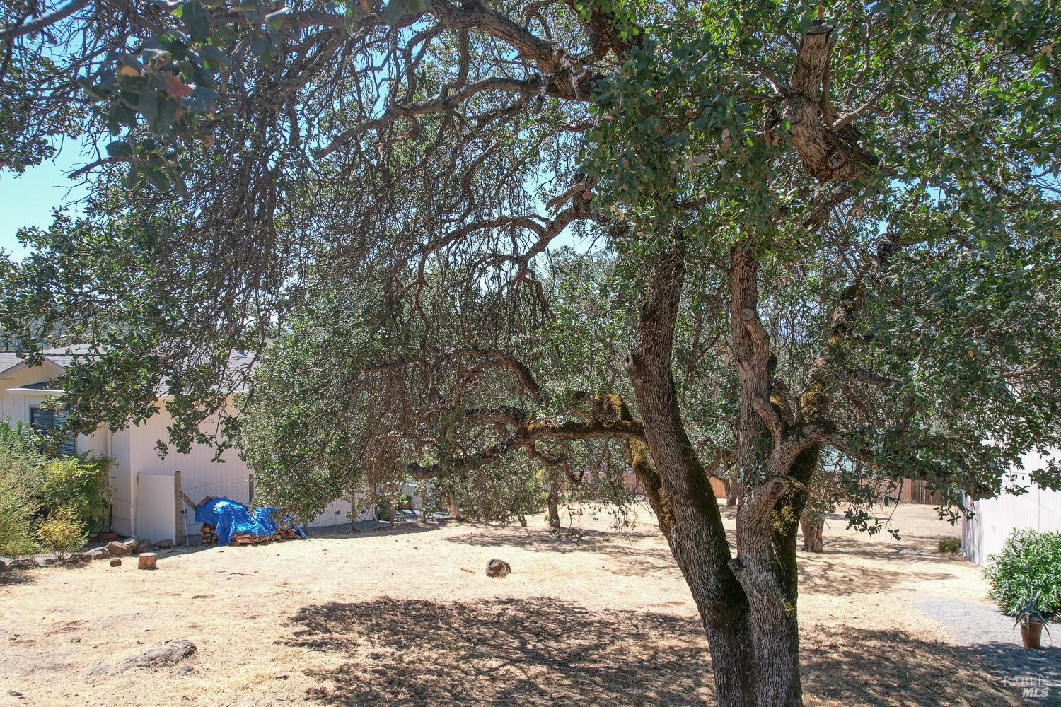 18903 Deer Hill Road Hidden Valley Lake, CA 95467 - Photo 15 of 32 A view of the vacant lot for sale. The current owners live right next door and have a lot of similar size and topography. Buy this lot and create the yard of your dreams on this blank slate studded with beautiful Oak trees.