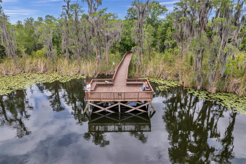 8642 Tenbridge Way New Port Richey, FL 34654 - Photo 92 of 100 Gallery Image 92