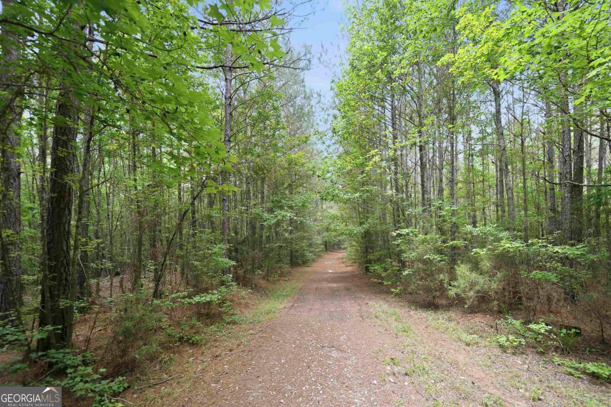 0 Pear Orchard Road Greensboro, GA 30642 - Photo 13 of 34