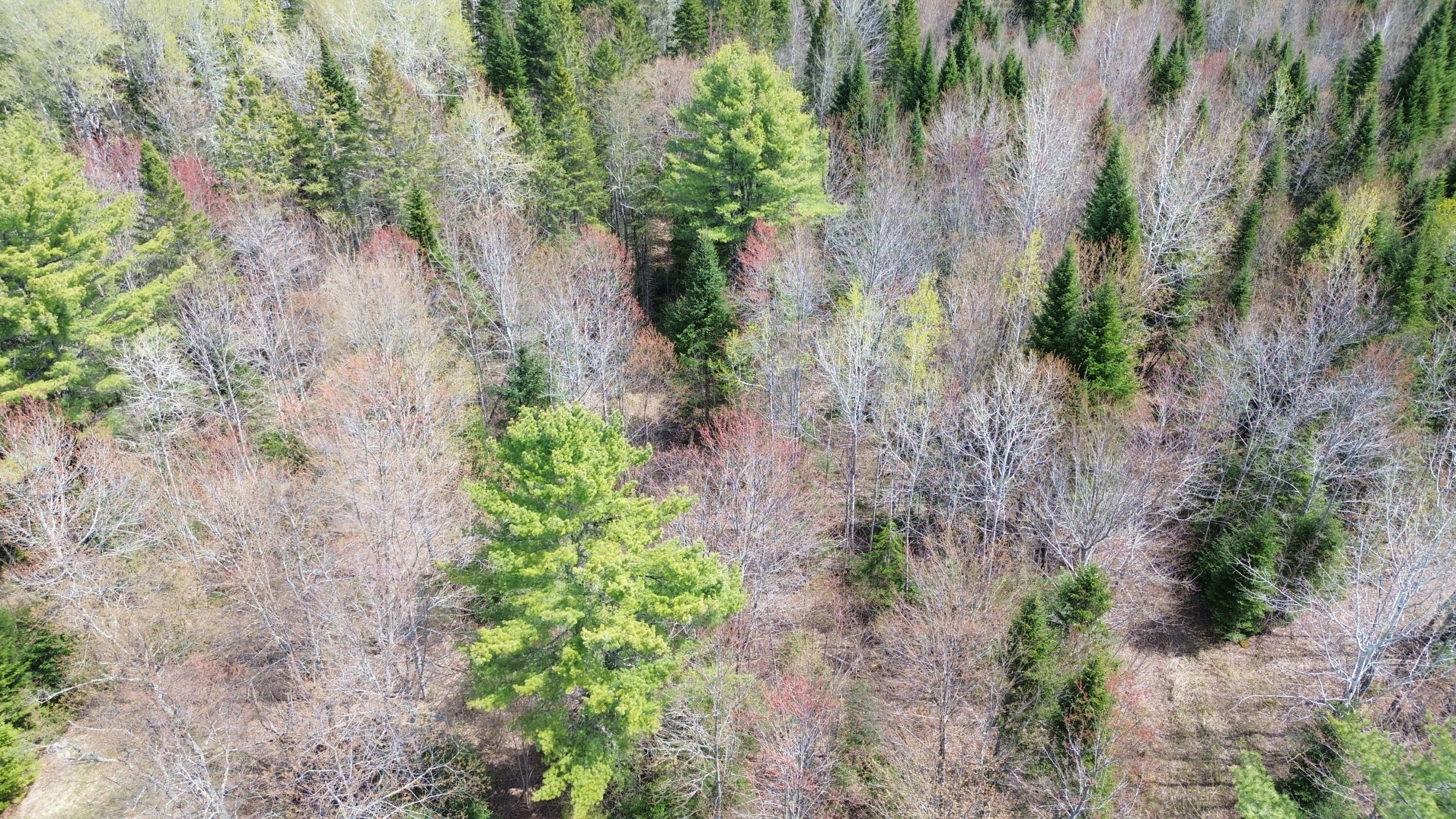 DJI_0818