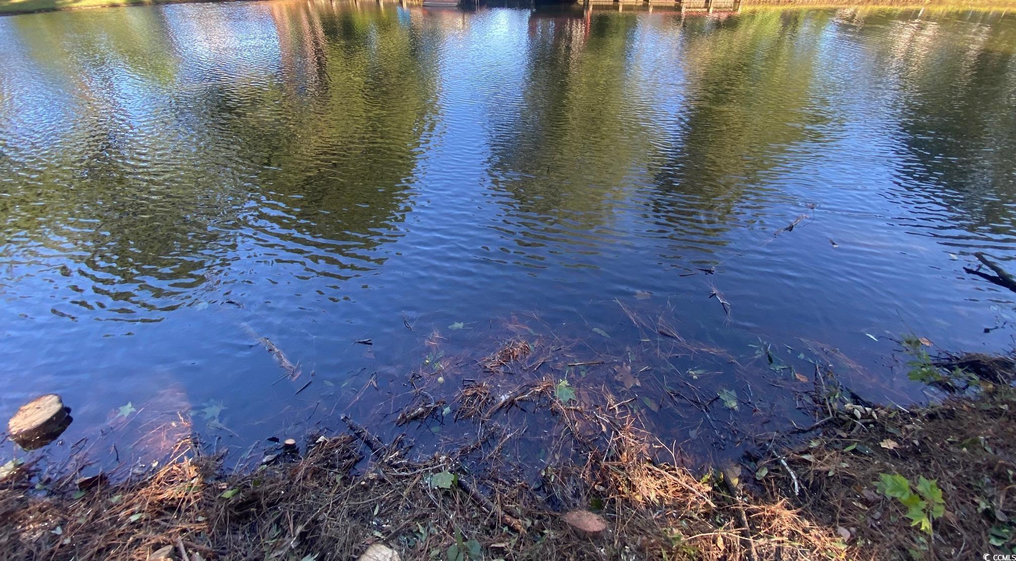 809 Edisto River Road Myrtle Beach, SC 29588 - Photo 4 of 6 View of water feature