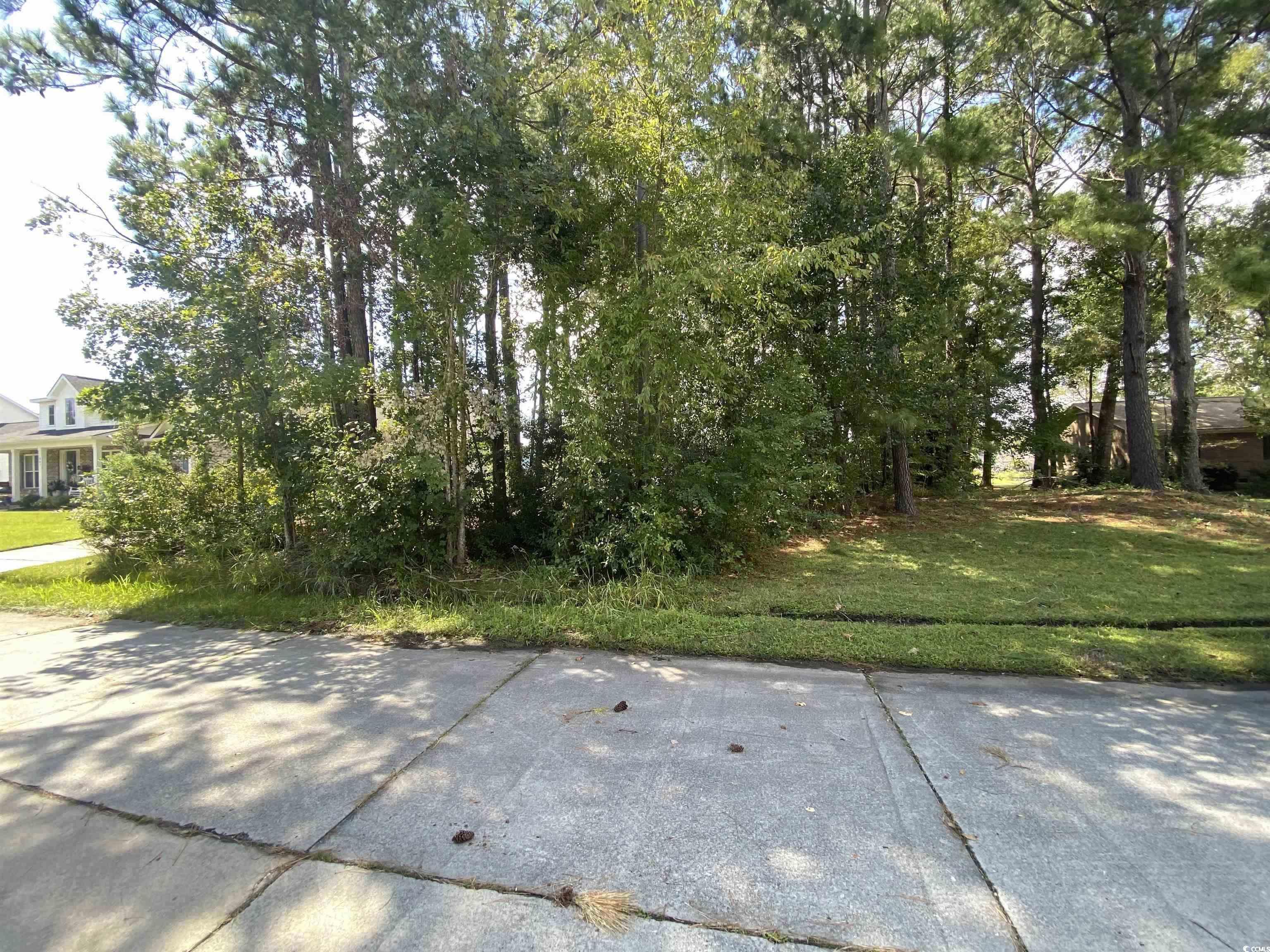 809 Edisto River Road Myrtle Beach, SC 29588 - Photo 6 of 6 View of road