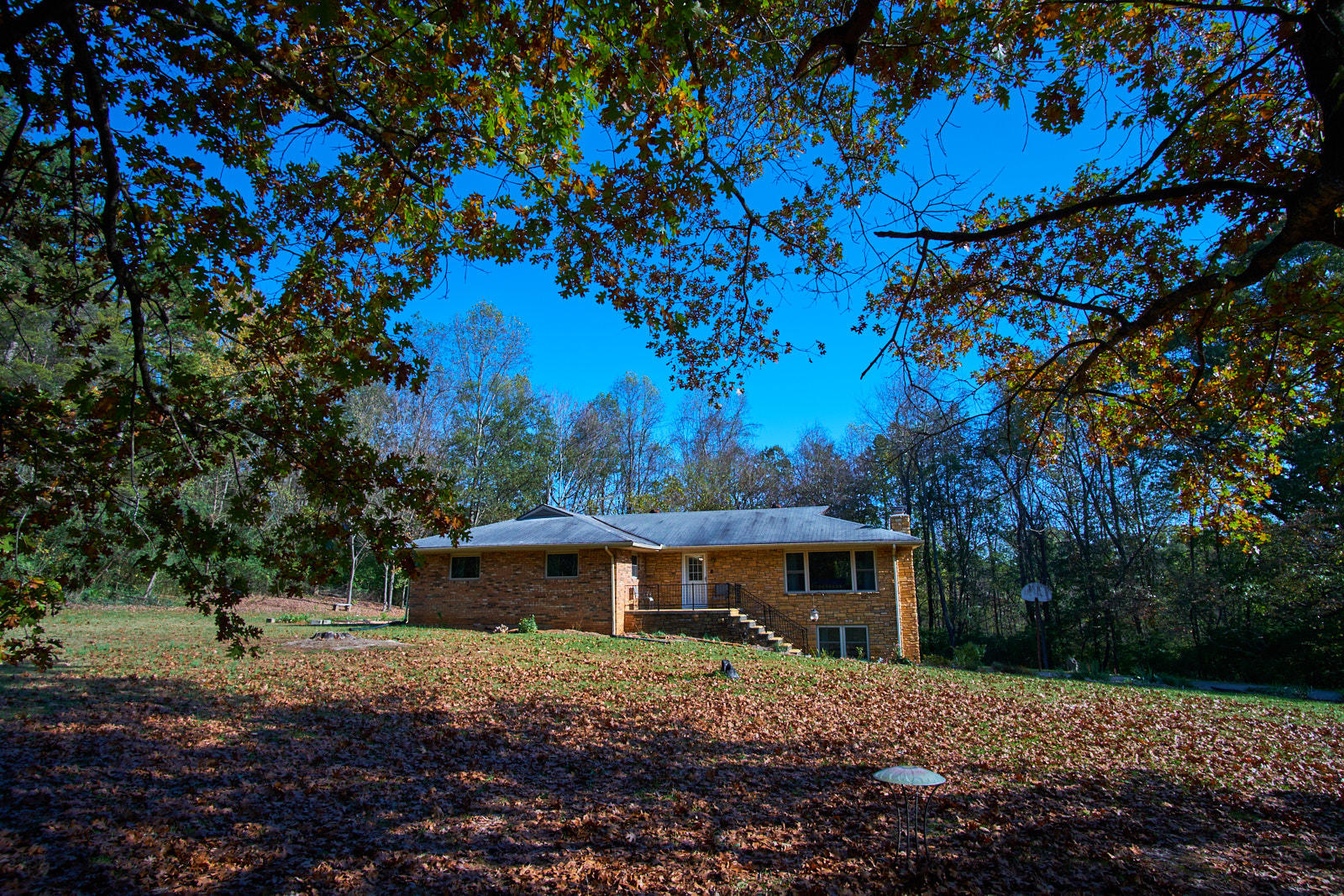 4729 Maplehill Road Knoxville, TN 37914 - Photo 36 of 40 Front yard.