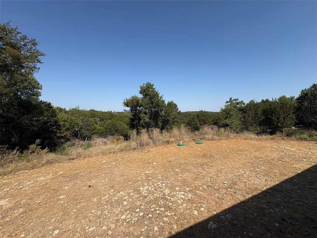6806 Blue Ridge Road Weatherford, TX 76087 - Photo 6 of 36 Back Yard