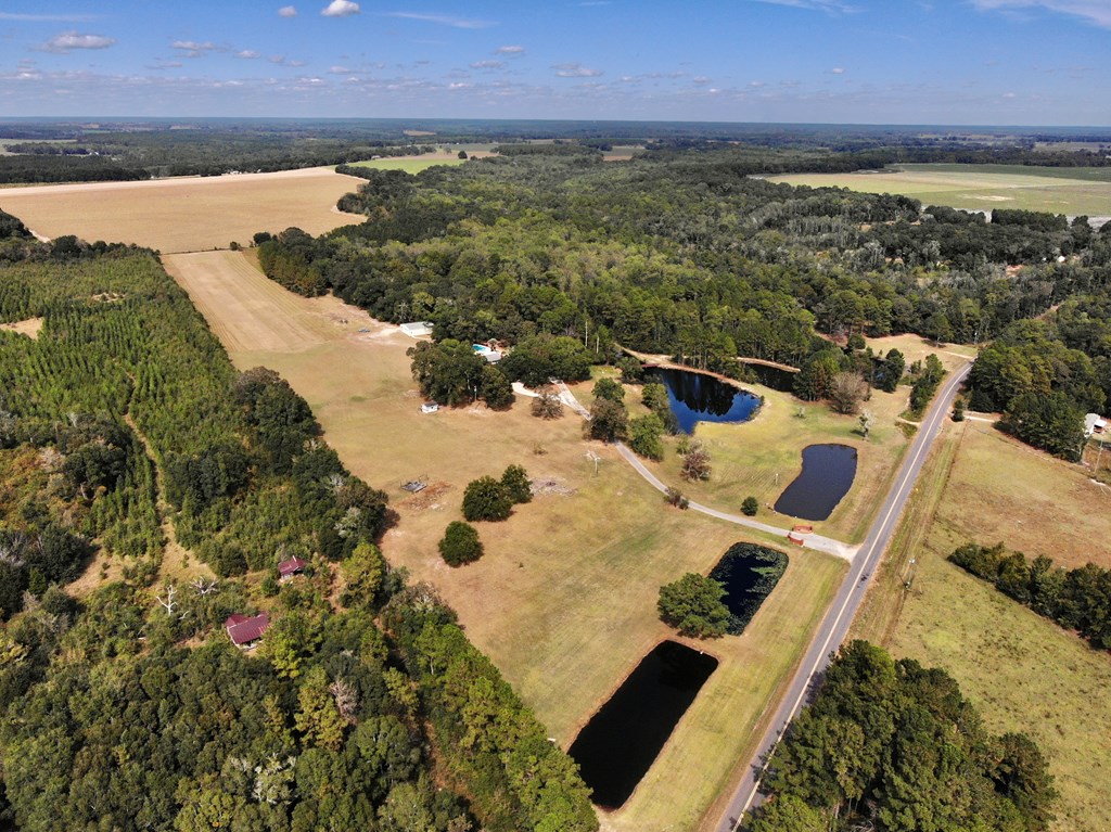 4566 Goose Hollow Road Geneva, AL 36340 - Photo 2 of 63