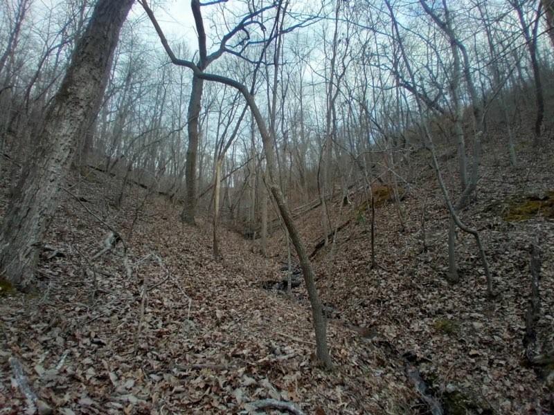 1 Ward Hill Road Holladay, TN 38341 - Photo 4 of 6 a backyard of a house with lots of green space