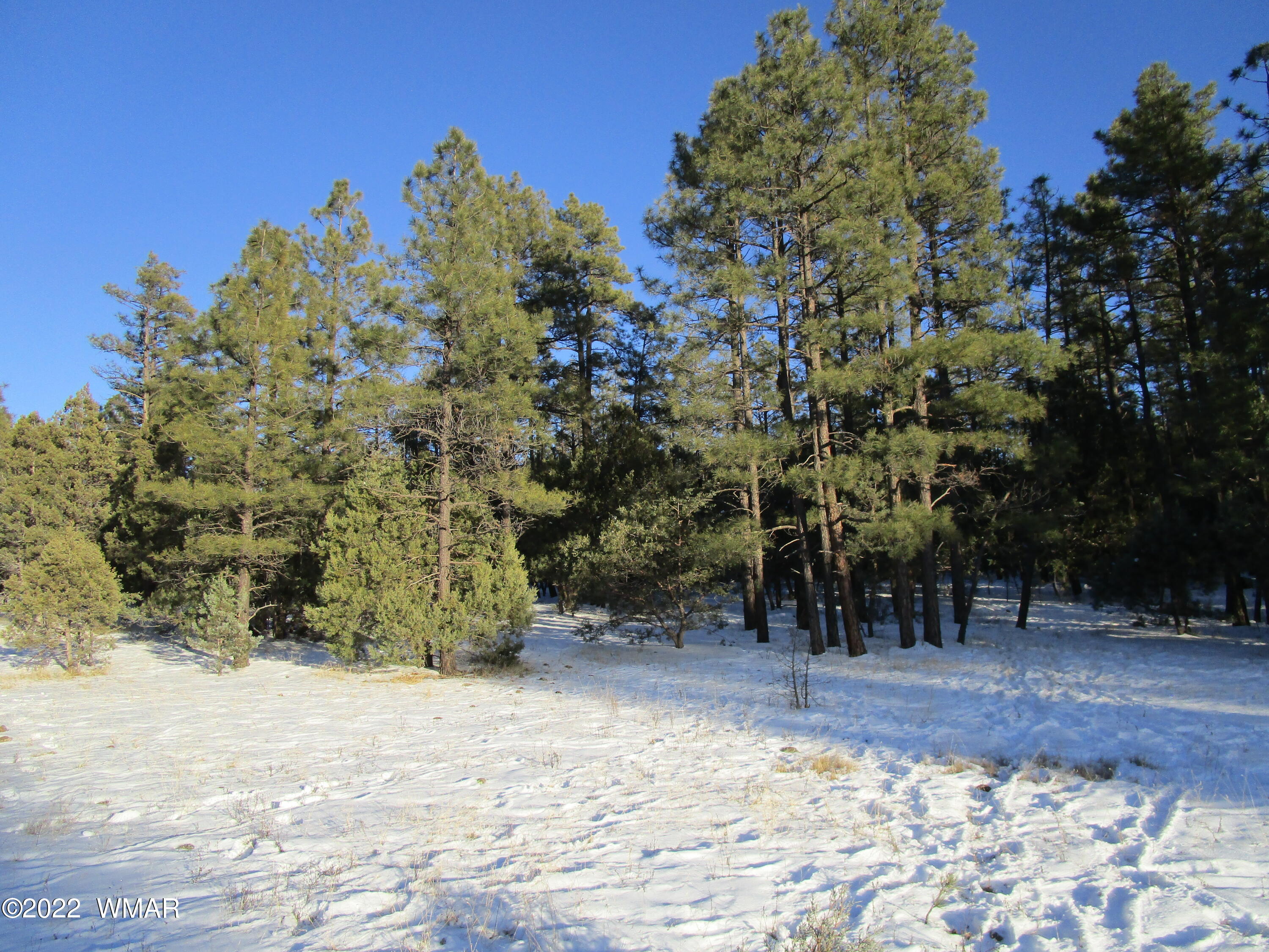 Tbd Lyerly Way Lakeside, AZ 85929 - Photo 1 of 10