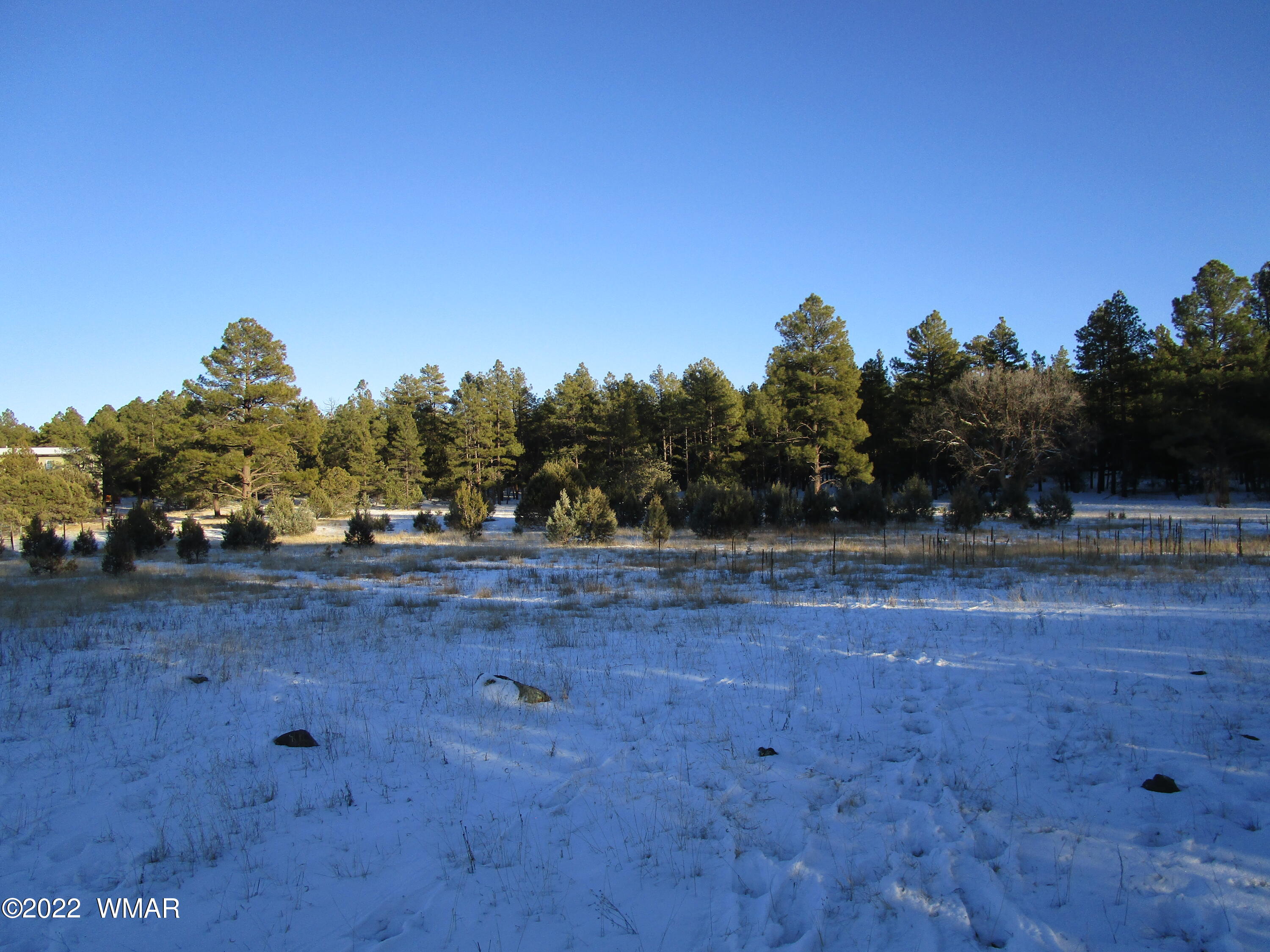 Tbd Lyerly Way Lakeside, AZ 85929 - Photo 4 of 10
