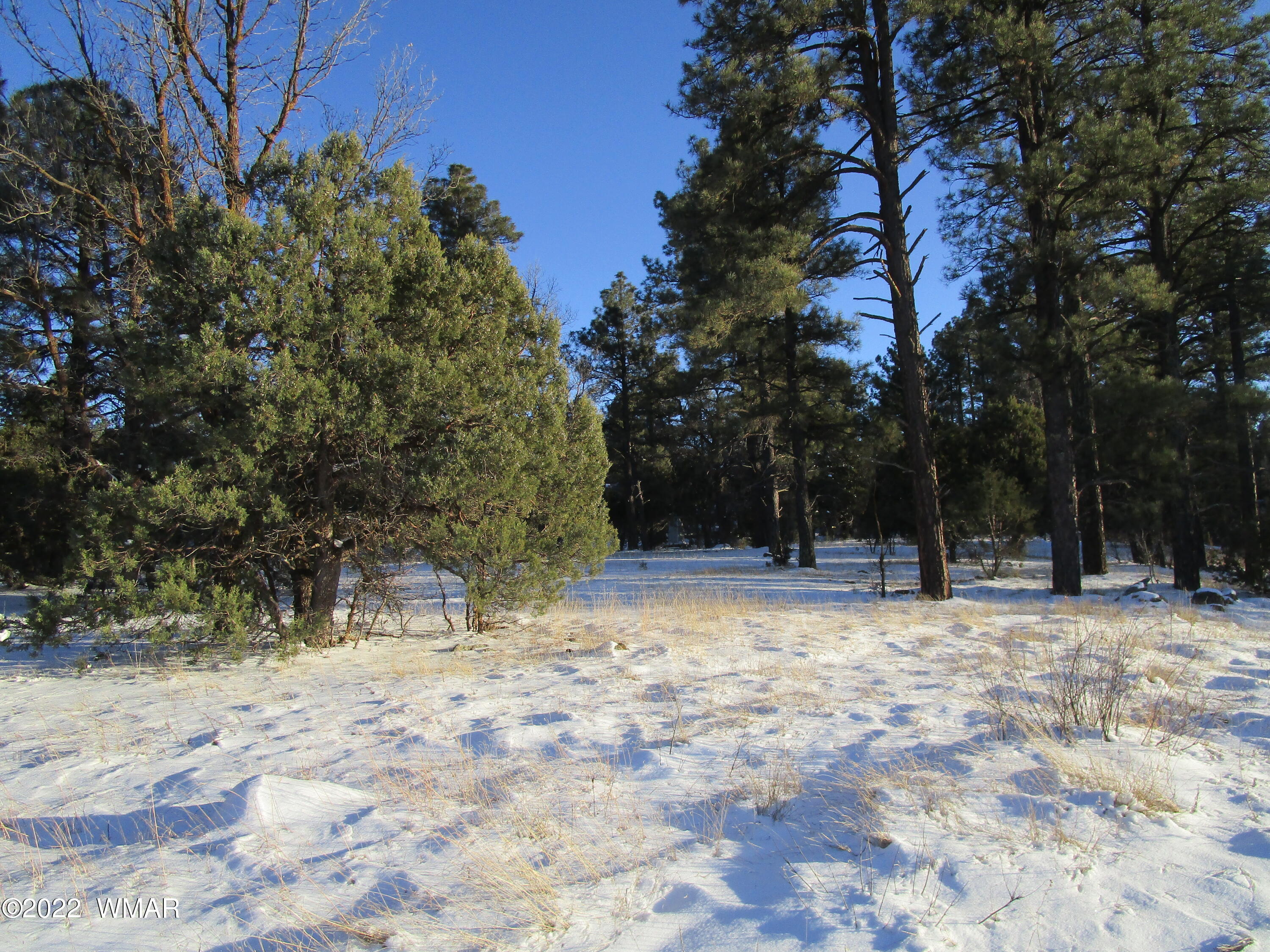 Tbd Lyerly Way Lakeside, AZ 85929 - Photo 7 of 10