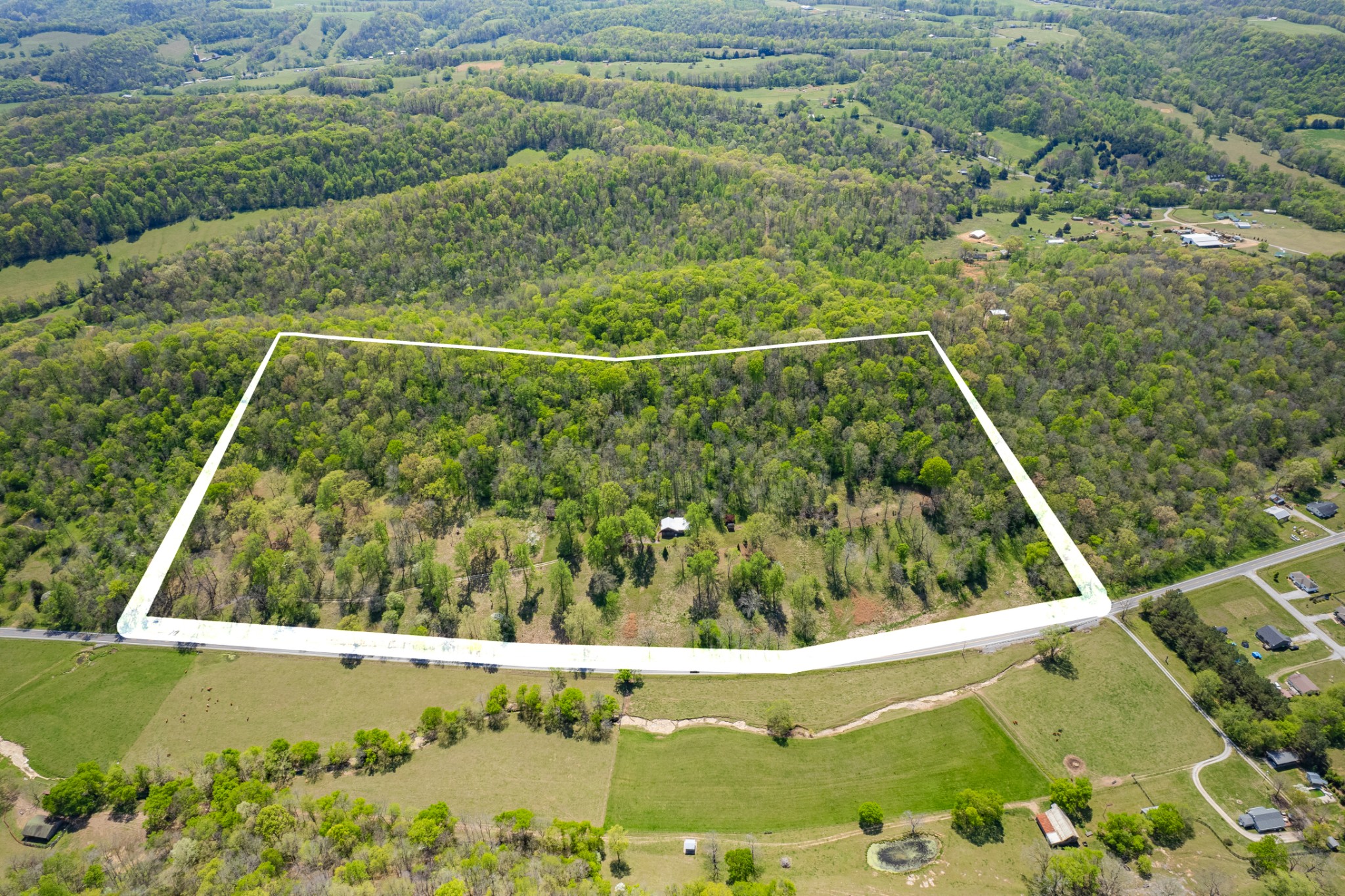 8039 Campbellsville Road Pulaski, TN 38478 - Photo 3 of 100