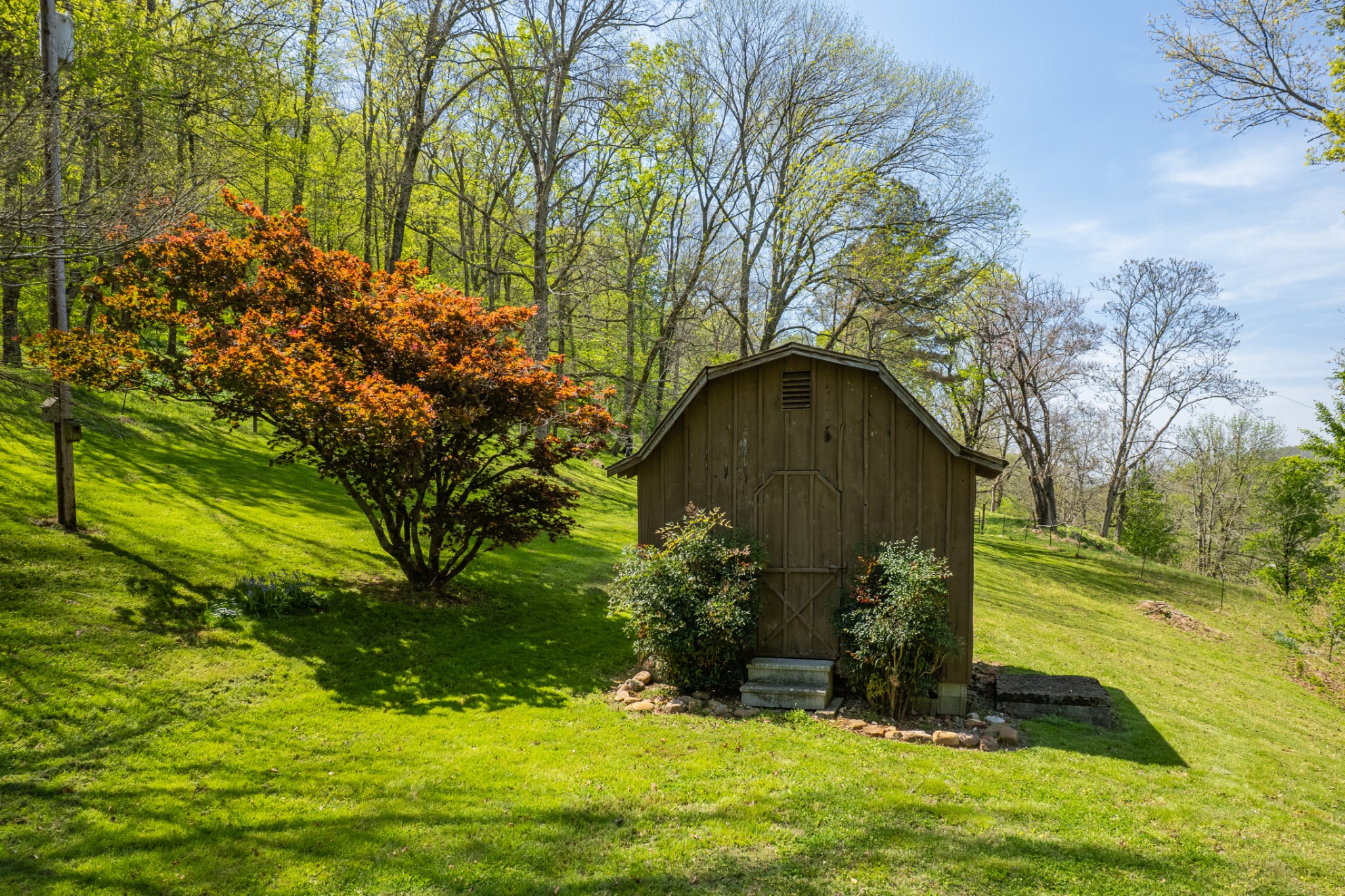 8039 Campbellsville Road Pulaski, TN 38478 - Photo 52 of 100