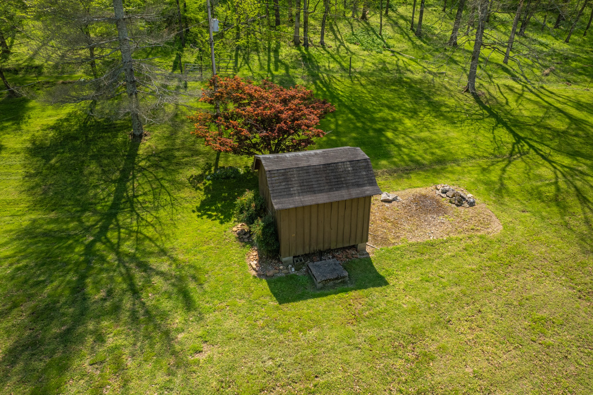 8039 Campbellsville Road Pulaski, TN 38478 - Photo 53 of 100