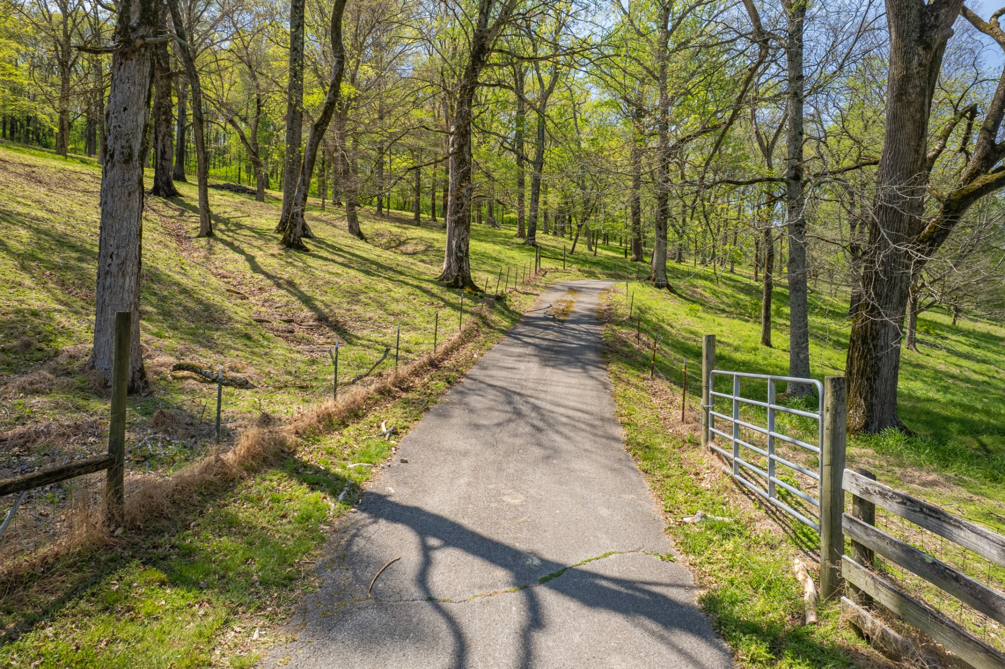 8039 Campbellsville Road Pulaski, TN 38478 - Photo 55 of 100