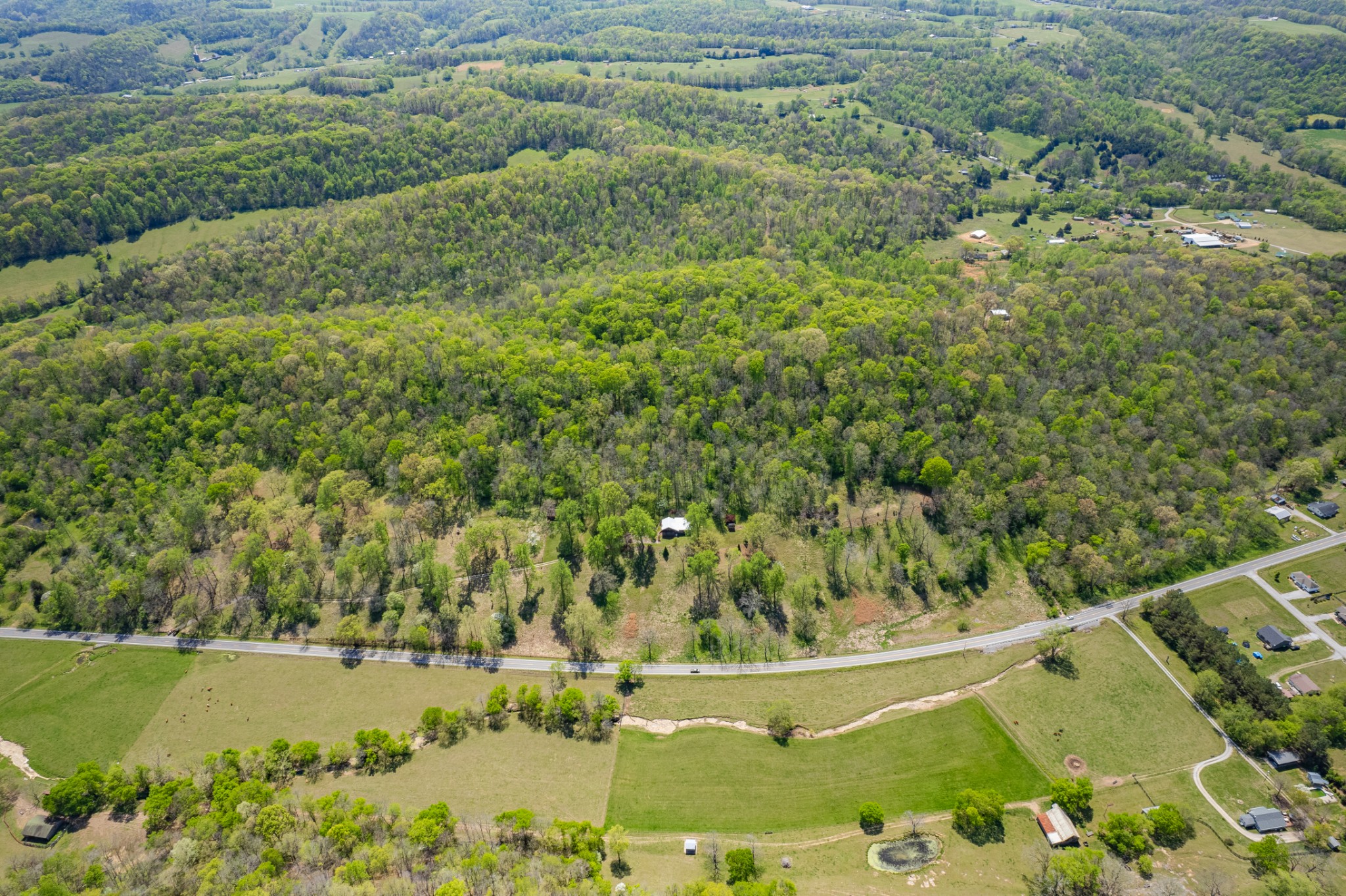 8039 Campbellsville Road Pulaski, TN 38478 - Photo 57 of 100