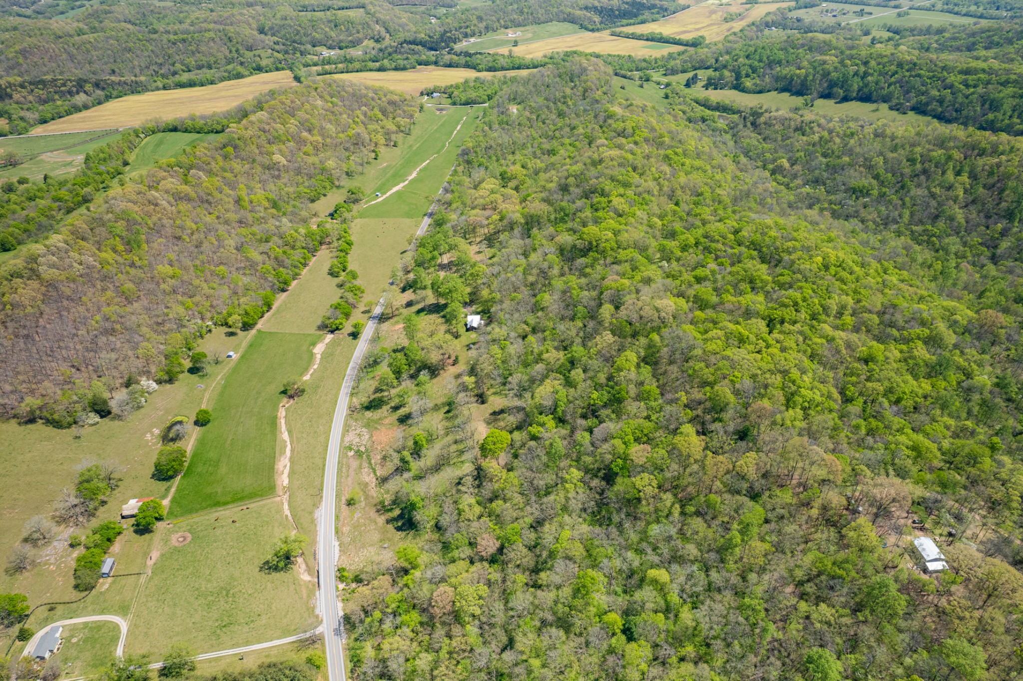 8039 Campbellsville Road Pulaski, TN 38478 - Photo 59 of 100