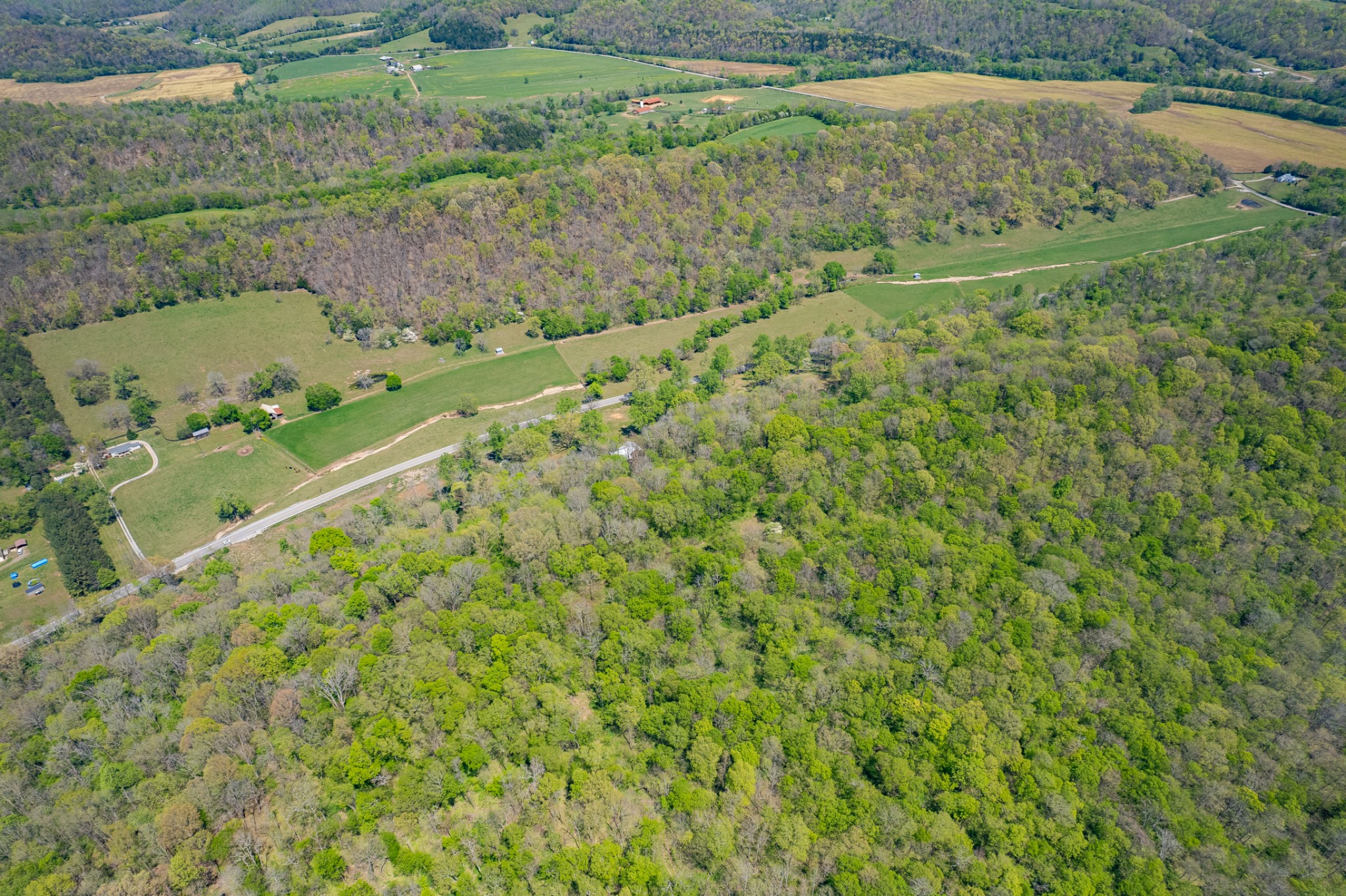 8039 Campbellsville Road Pulaski, TN 38478 - Photo 61 of 100
