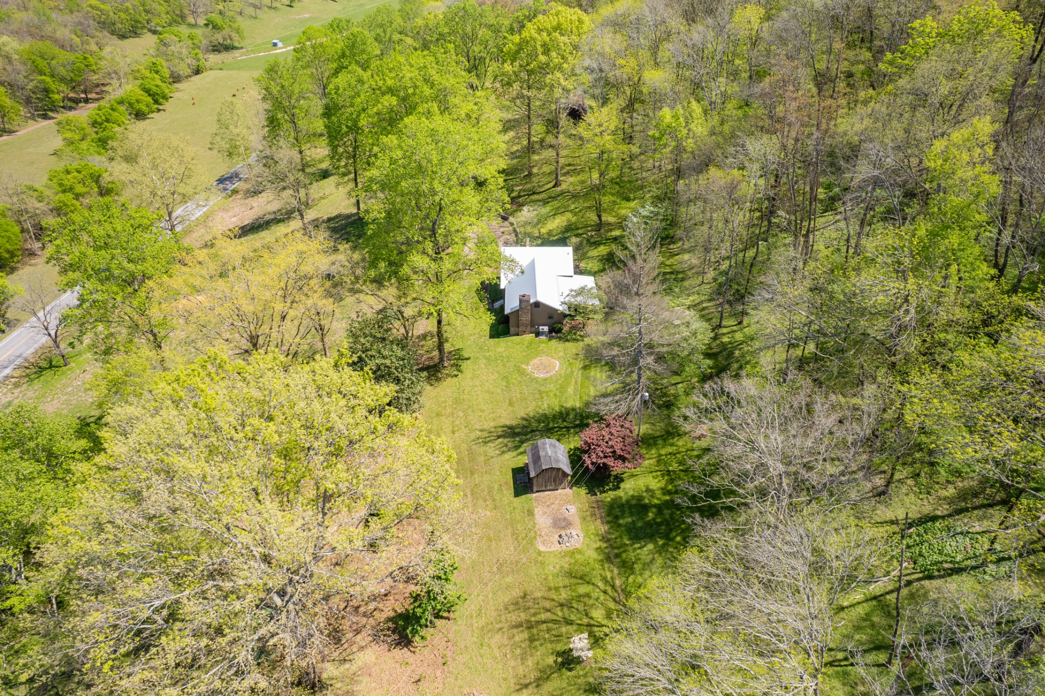 8039 Campbellsville Road Pulaski, TN 38478 - Photo 70 of 100