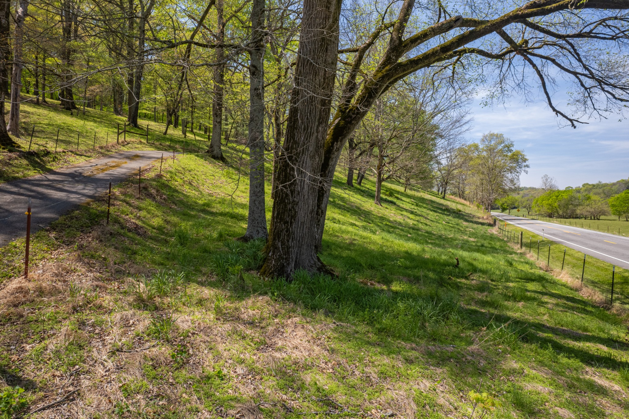 8039 Campbellsville Road Pulaski, TN 38478 - Photo 73 of 100