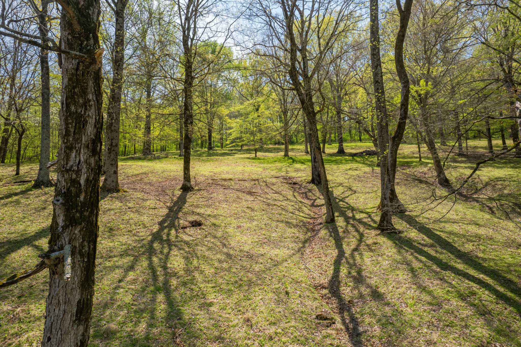 8039 Campbellsville Road Pulaski, TN 38478 - Photo 74 of 100